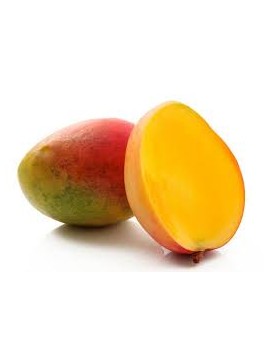 Mangue Kent (4 kg) -...