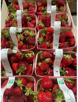 Ventoux aardbei (1...