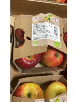 Pomme Copine cal....