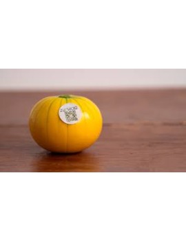 Zucchiolo jaune (1 pc)...