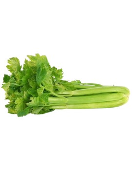 Groene selderij (1...