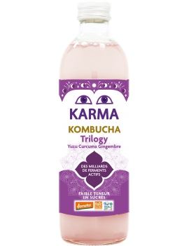 Kombucha gingembre,...