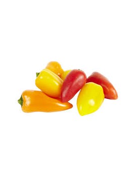 Poivron mini tricolore...