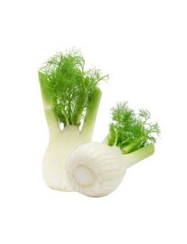 Venkel (4 kg) - cat. 2...
