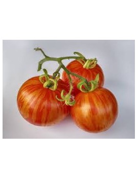 Tomate Tirouge (6 kg)...