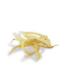 Haricot beurre (4 kg)...