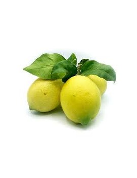 Citron Bianchetto (6...