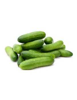 Concombre snack mini...