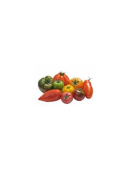 Tomates anciennes mix...