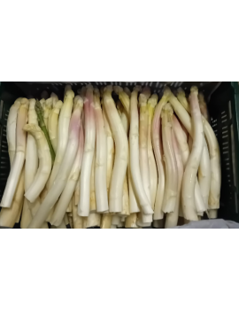 Asperges blanches 2ème...