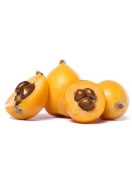 Loquat (5 kg) - cat. 2...