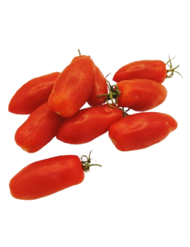 Tomate mini San...