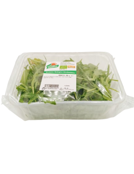Roquette (1 barquette...