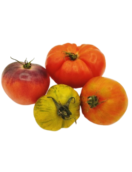 Oranje mixtomaten (5...