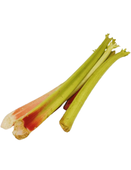 Rhubarbe (6 kg) - cat....