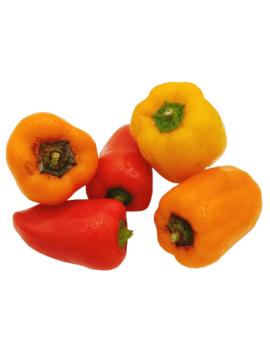 Poivron mini tricolore...