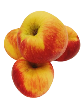 Pomme Copine cal....