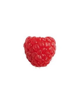 Framboise rouge (1 pc...