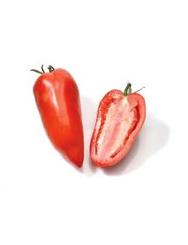 Tomate Cornue des...