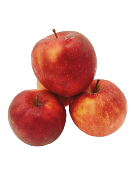 Wilton Star-appel kal...