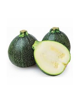 Ronde courgette (4 kg)...