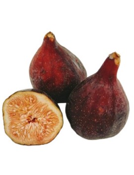 Figue noire (3 kg) -...