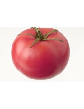 Bruine tomaat (4 kg) -...