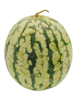 Pastèque jaune (10 kg...