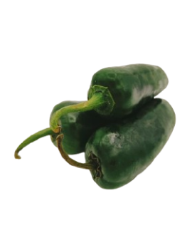 Piment vert Jalapeno...