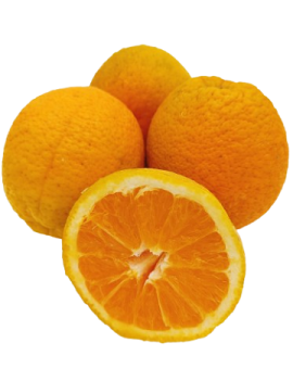 Orange de table cal....