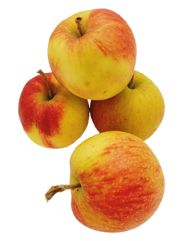 Pomme Jonagold cal...