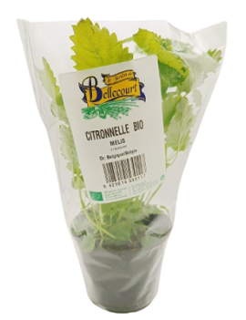Citronnelle mélisse en...