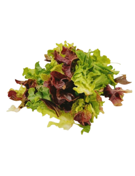 Mesclun (1 kg) - cat....