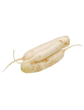 Radis Daikon (5 kg) -...