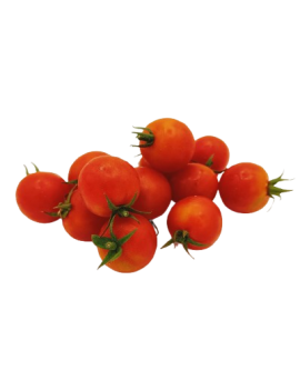 Kerztomaat (4 kg) -...