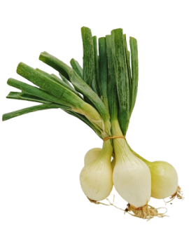 Oignons jeunes (1...