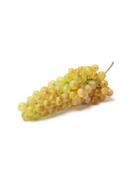 Raisin blanc Danlas (7...