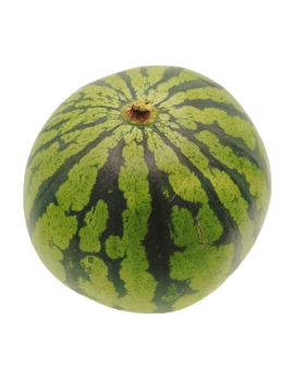 Pastèque mini (9 kg) -...
