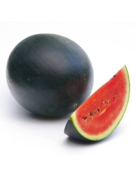 Pastèque noire Belgi...