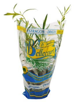 Estragon en pot (1 pc)...