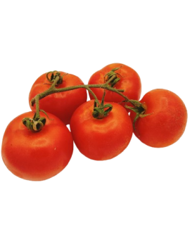 Tomatentros (6 kg) -...