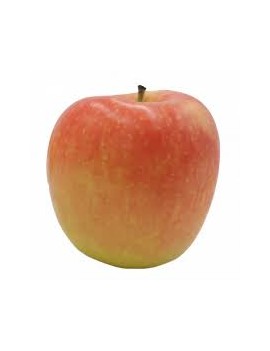 Pomme Collina (11 kg)...