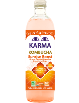 DISPO 07/09 - Kombucha...