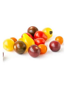 Tomate cerise...