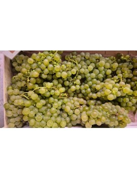 Raisins blancs (5 kg)...