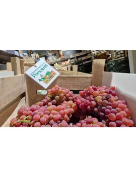 Raisins roses (5 kg) -...