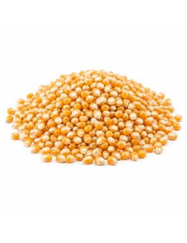 "POP CORN" MAÏS