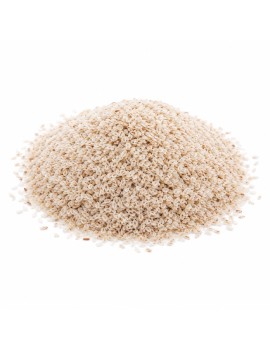FIBRES DE PSYLLIUM