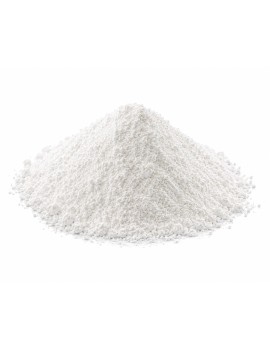 TAPIOCA EN POUDRE