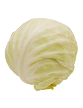 Chou blanc (1 pc) -...
